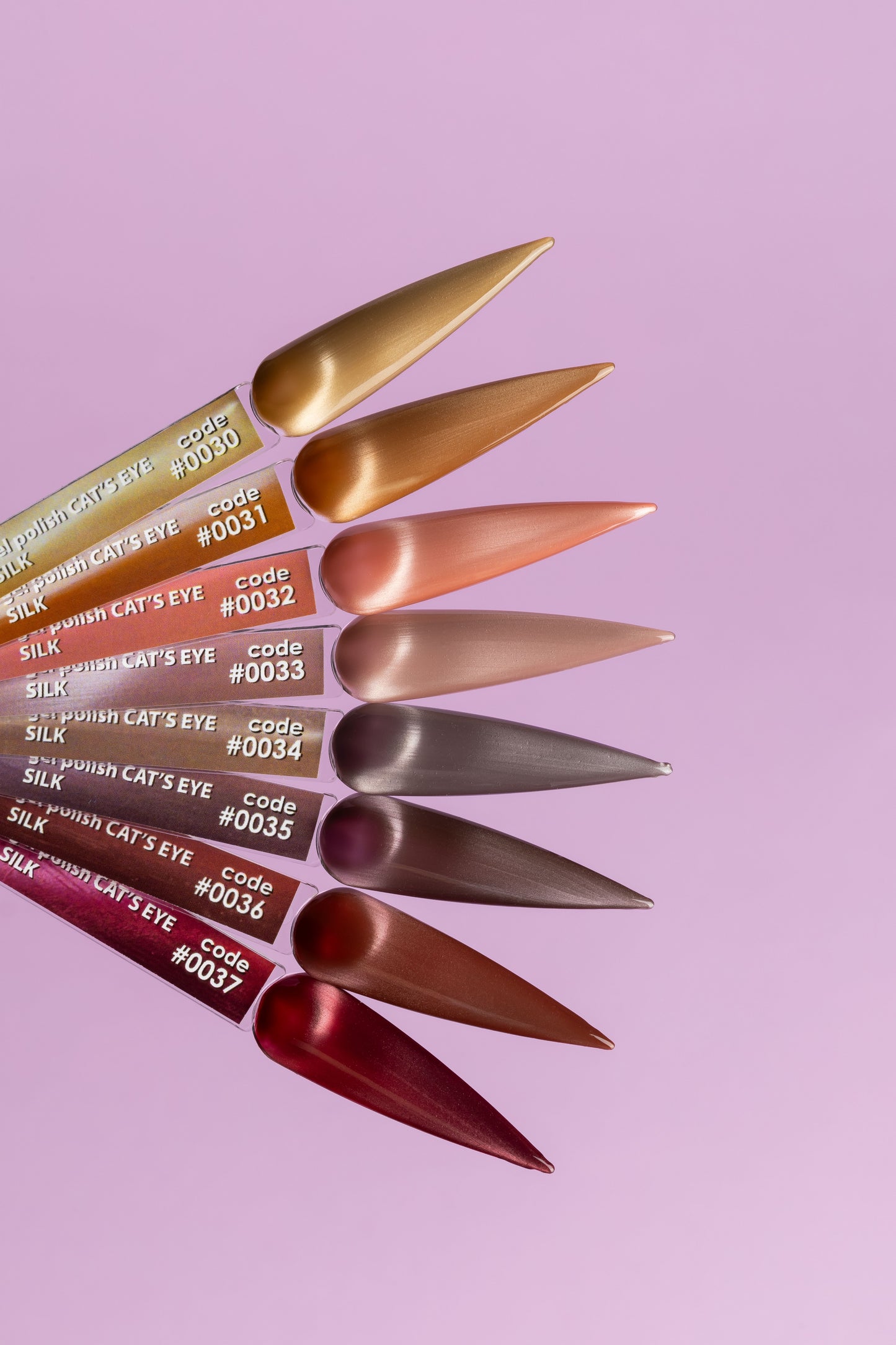 DNKa Color Polish Gel Cat's Eyes Silk 12 ml #0031