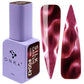 DNKa Color Polish Gel Cat's Eye Silk 12 ml #0042