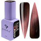 DNKa Color Polish Gel Cat's Eye Silk 12 ml #0039