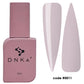 DNKa Fast Gel #0011