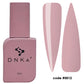 DNKa Fast Gel #0017