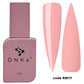 DNKa Fast Gel #0019