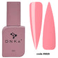 DNKa Fast Gel #0020