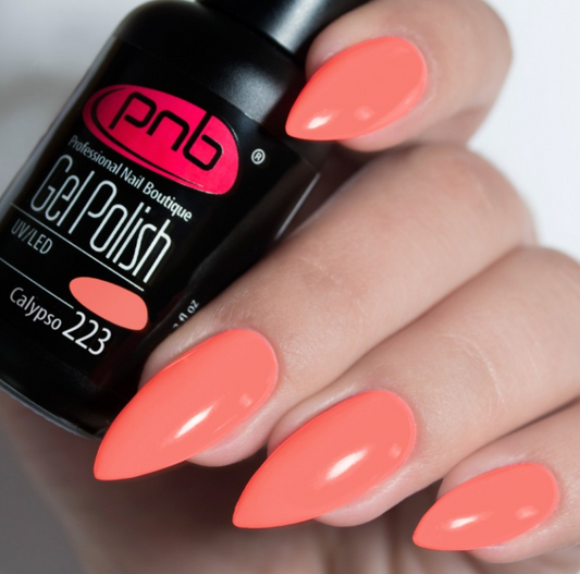 PNB UV/LED Polish gel 223 Galypso